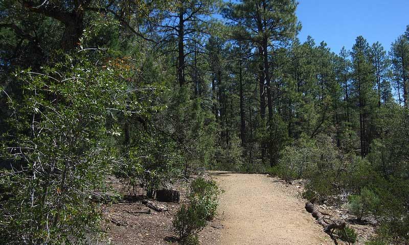 Highlands Center for Natural History in Prescott Arizona