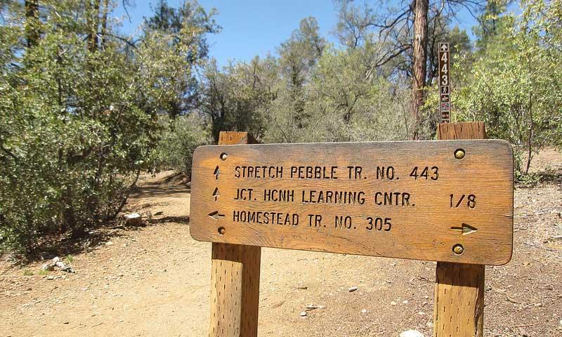 Highlands Center for Natural History in Prescott Arizona