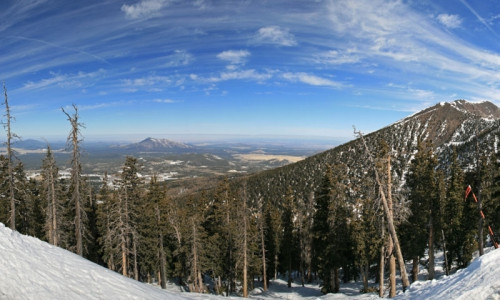 Winter Activities